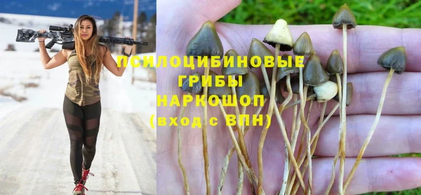 круглые Арсеньев